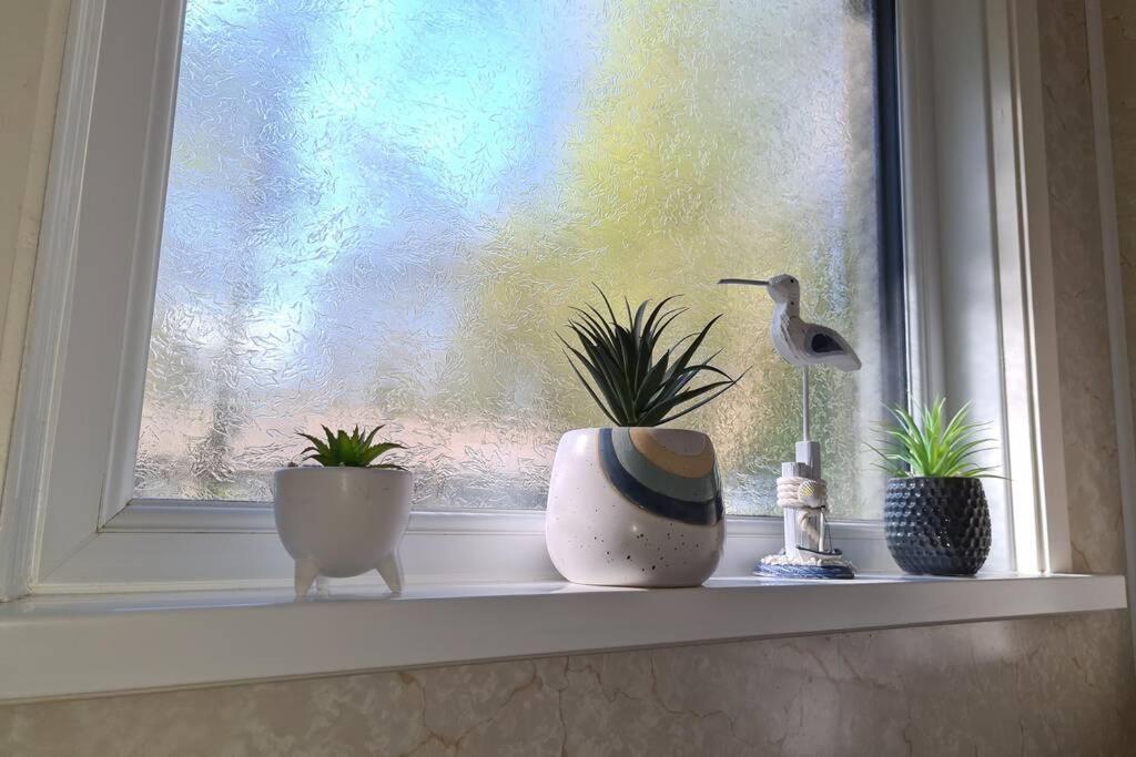 Driftwood Cottage Uny Lelant エクステリア 写真