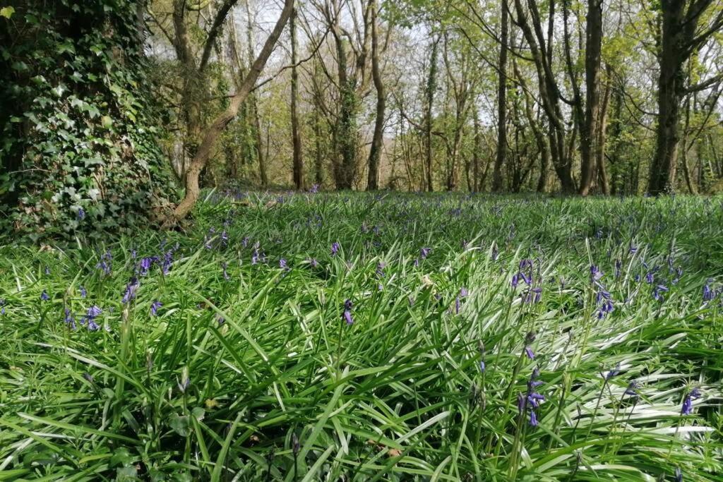 Driftwood Cottage Uny Lelant エクステリア 写真